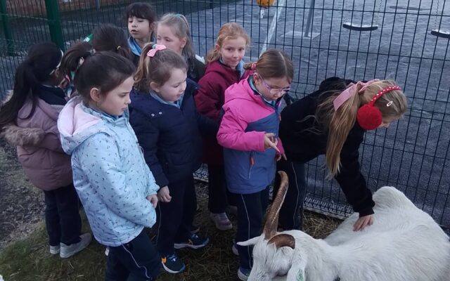 Agri-Aware Mobile Pet Farm Visit